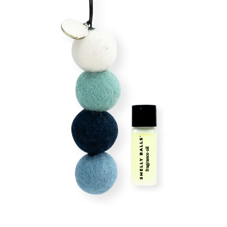 Reusable Smelly Balls car freshener with Coastal Drift fragrance – a breezy, ocean-scented accessory for car lovers. Perfect add-on for quirky gift boxes, eco-friendly hampers, and wellbeing gifts NZ. Brings clean coastal freshness to any ride.