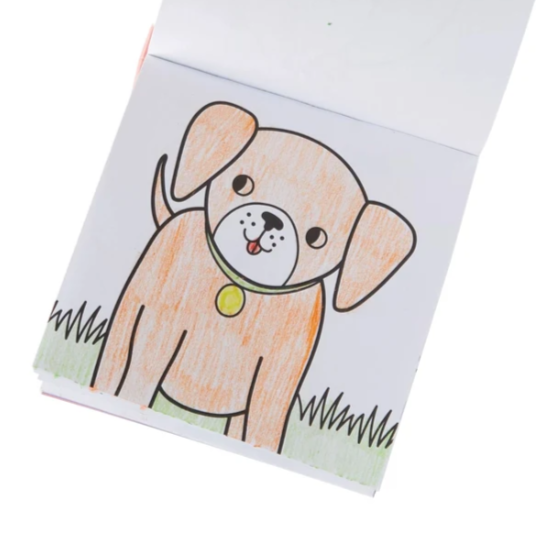 Pet Pals colouring book and jumbo crayons for kids