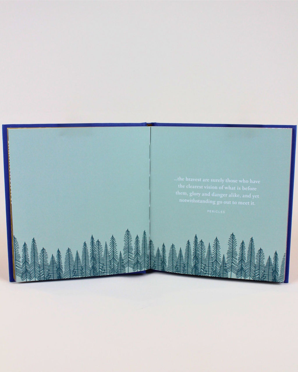 Thoughtful wellness gift book to support strength 