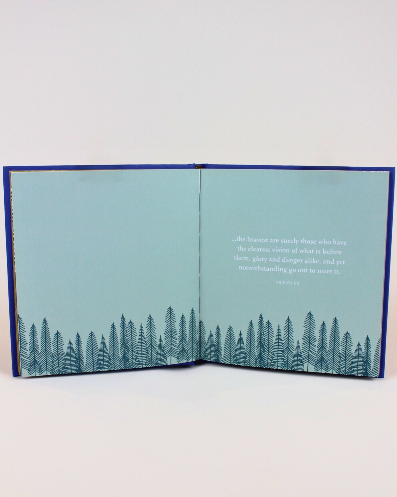 Thoughtful wellness gift book to support strength 