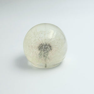 Dandelion Crystal Ball