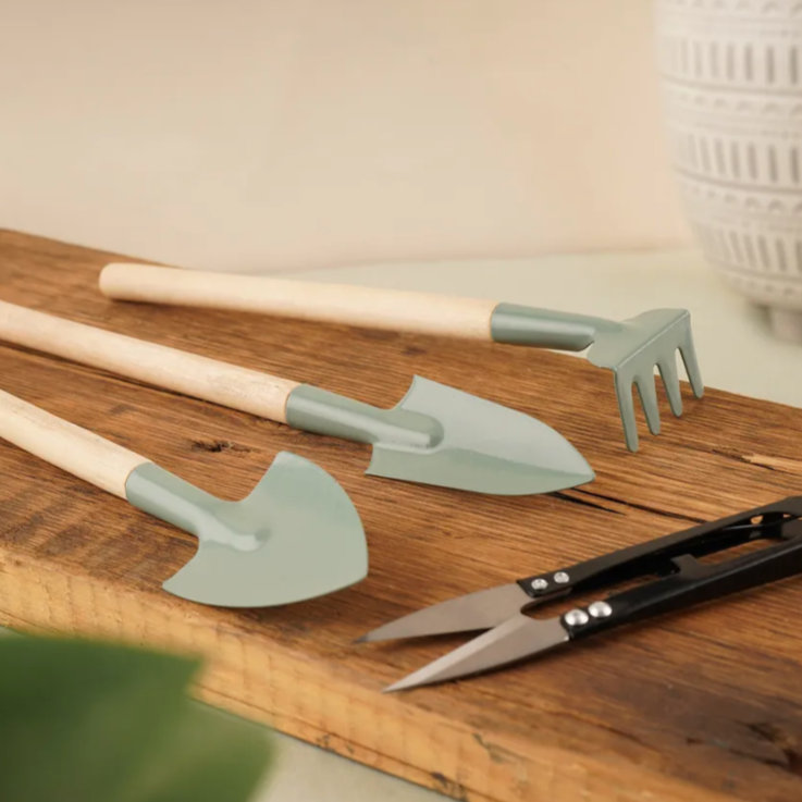 Small Indoor Plant Care Kit